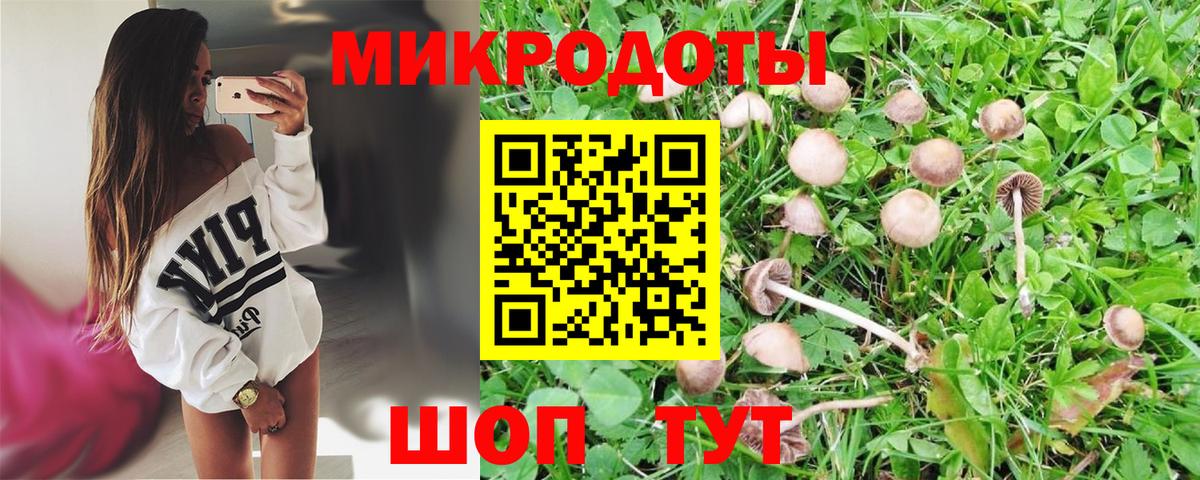 Галлюциногенные грибы Cubensis Зеленогорск