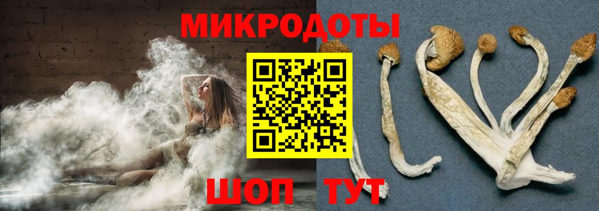 Зеленогорск  Псилоцибиновые грибы прущие грибы  Вход с VPN 